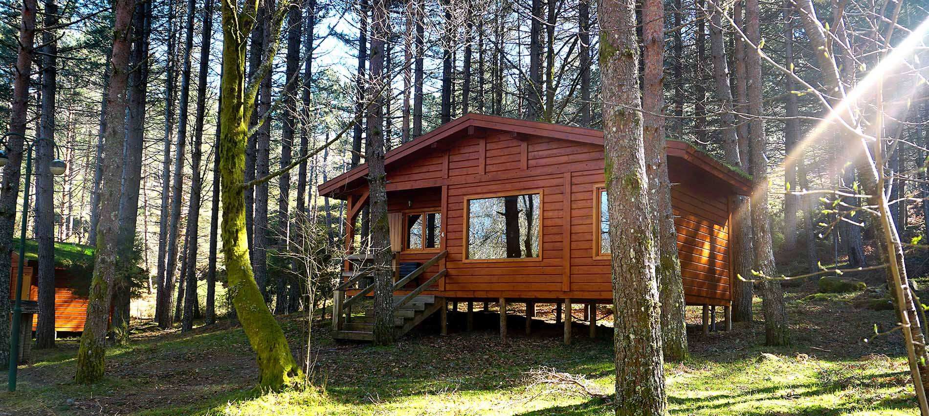 Remote off-grid homestead surrounded by nature and mountains