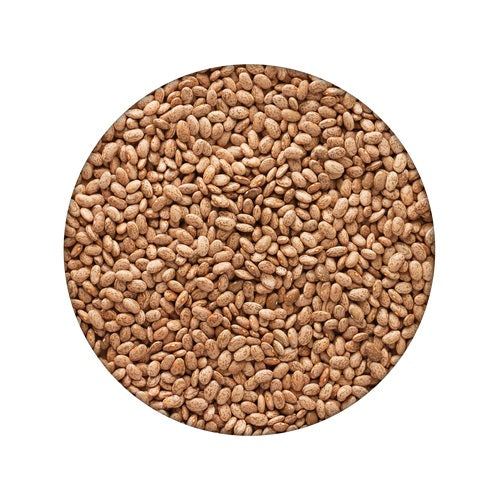 Pack of 6 Pinto Beans Large Can