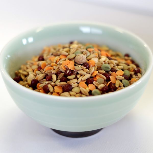 Sprout Seed Mix 1.5# mylar bag