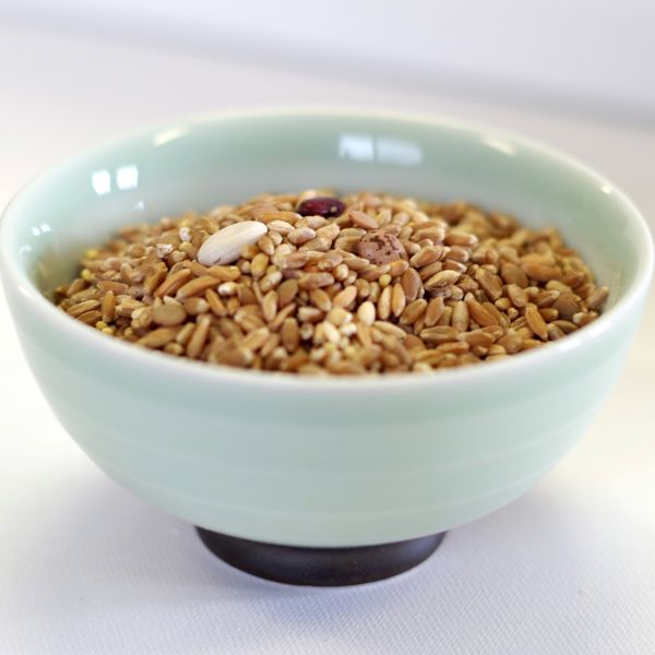 Ezekiel Mix 34 lb. 5 gal SP