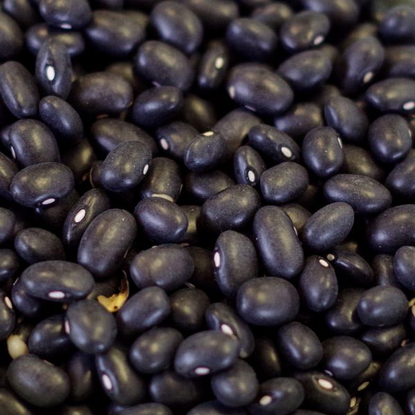 Black Turtle Beans-Natural 5 gal 35# SP