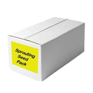 Sprout Seed–Case of 7 bags