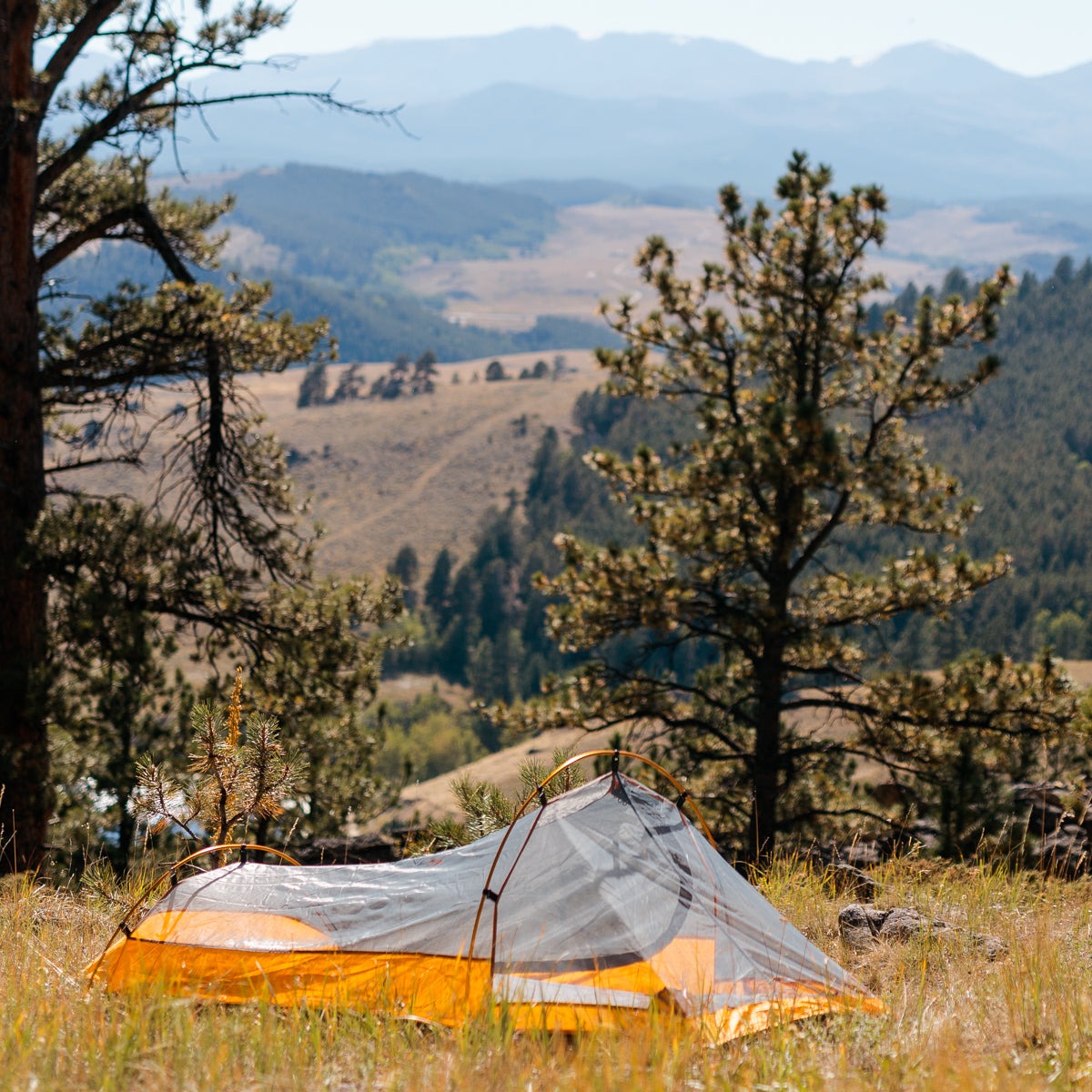 Orange Solo Bivy 1-Person Tent set up outdoors with poles and stakes for hiking and camping