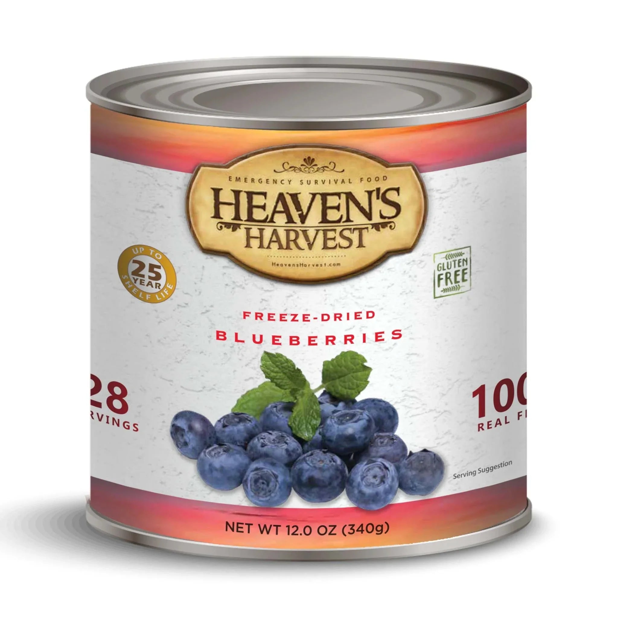 #10 can of freeze-dried blueberries with 28 servings, gluten-free and long shelf-life
