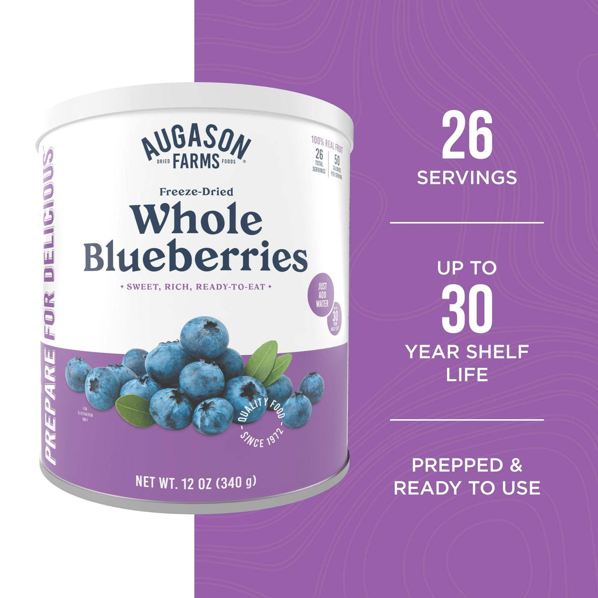 Freeze Dried Whole Blueberries Can, 26 Servings