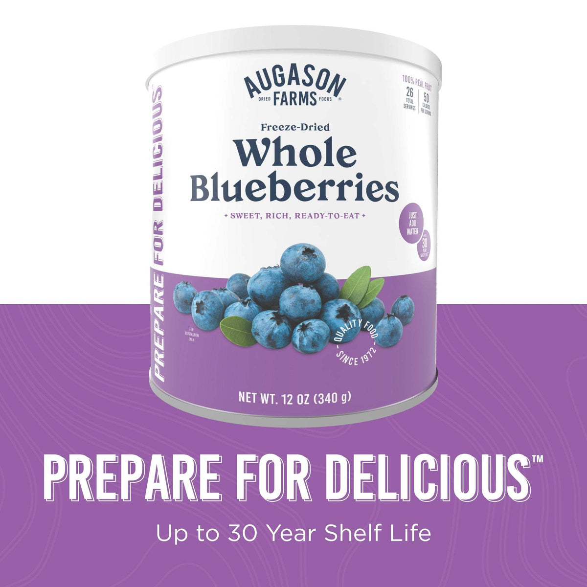 Freeze Dried Whole Blueberries Can, 26 Servings