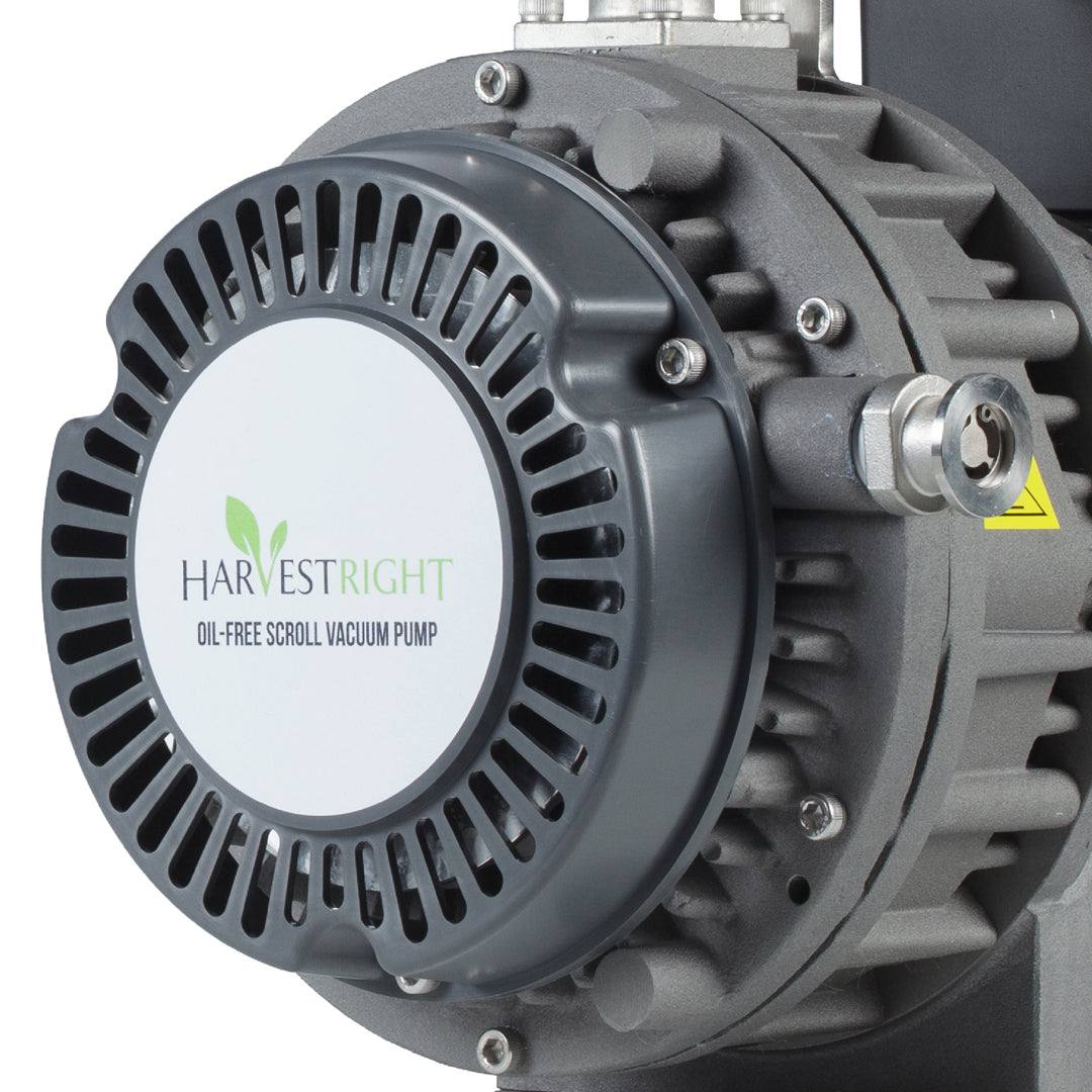 Oil free vacuum pump for freeze dryer, compact and maintenance-free design