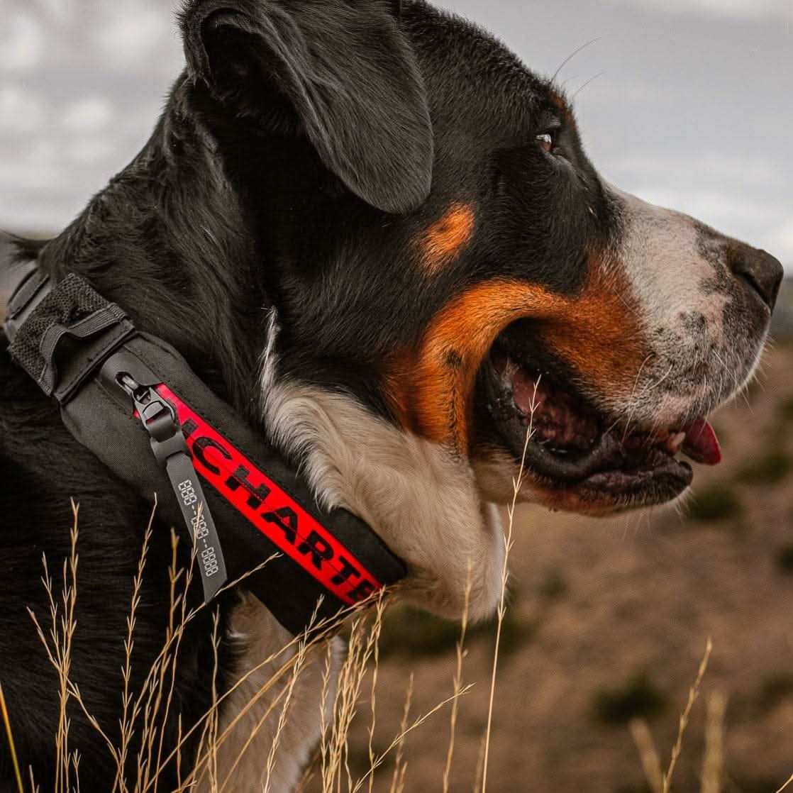 Uncharted Supply Company Survival Gear The Wolf Pack The Wolf Pack | Uncharted Supply Co