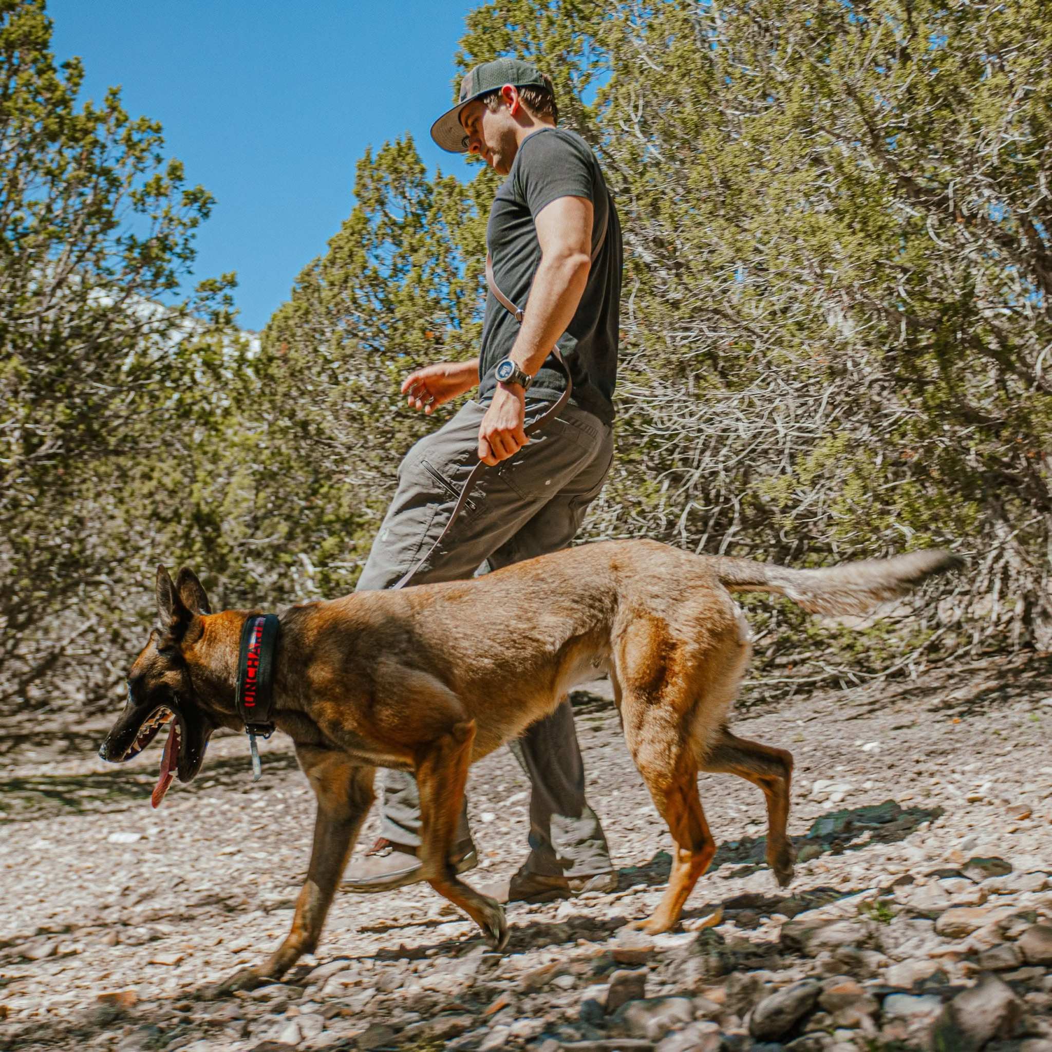 Uncharted Supply Company Survival Gear The Wolf Pack The Wolf Pack | Uncharted Supply Co
