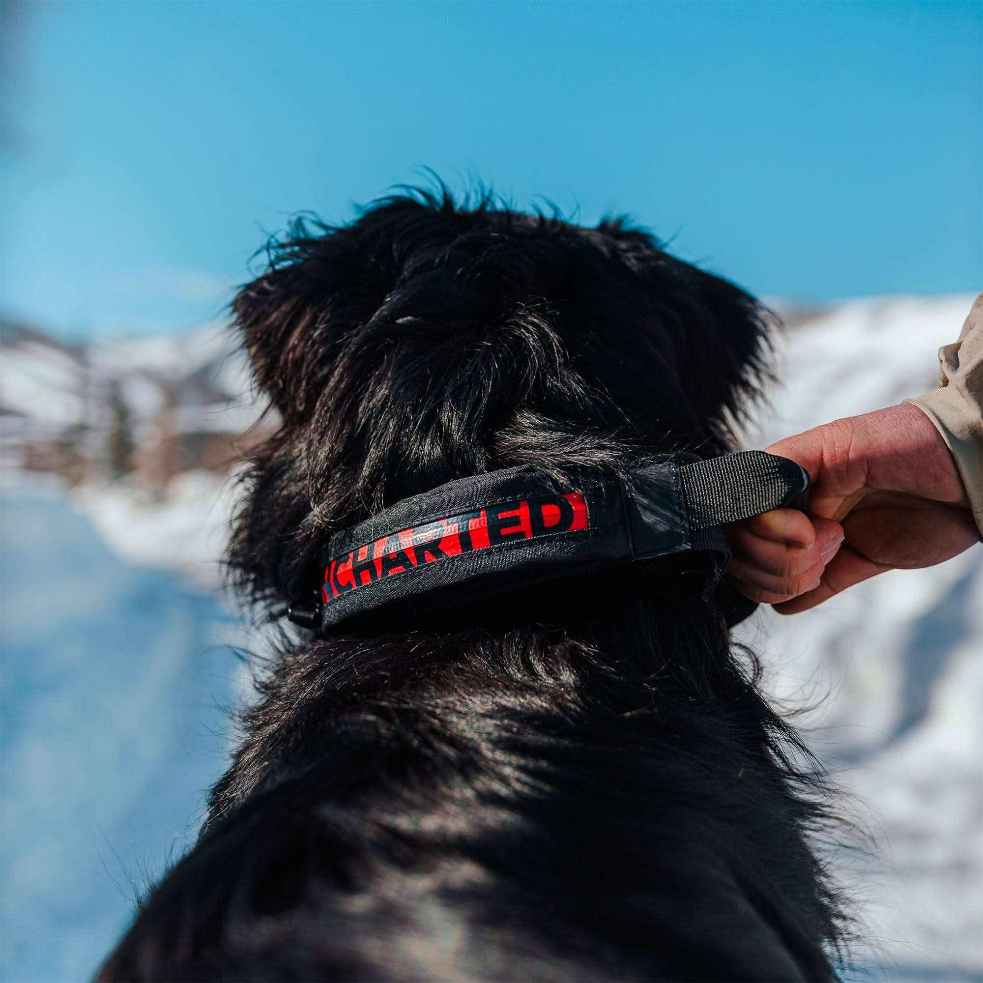 Uncharted Supply Company Survival Gear The Wolf Pack The Wolf Pack | Uncharted Supply Co