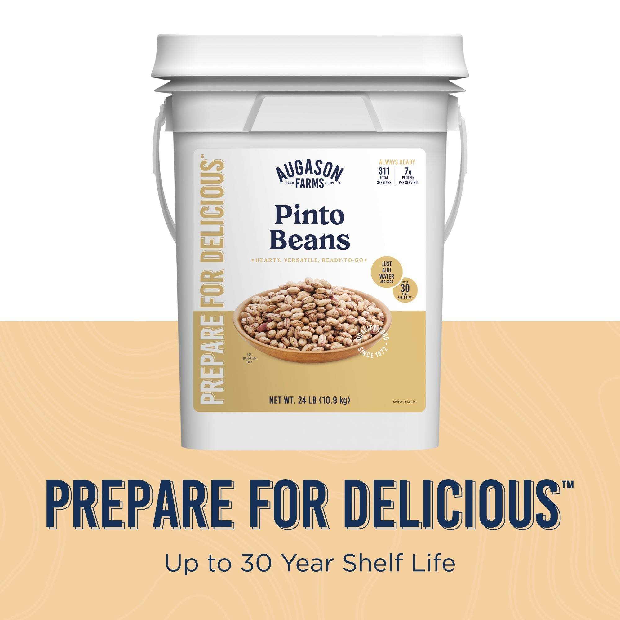 Augason Farms Dried Pinto Beans 4 Gallon Pail, 311 Servings Dried Pinto Beans 4 Gallon Pail - Bulk Nutrient-Rich Food Storage