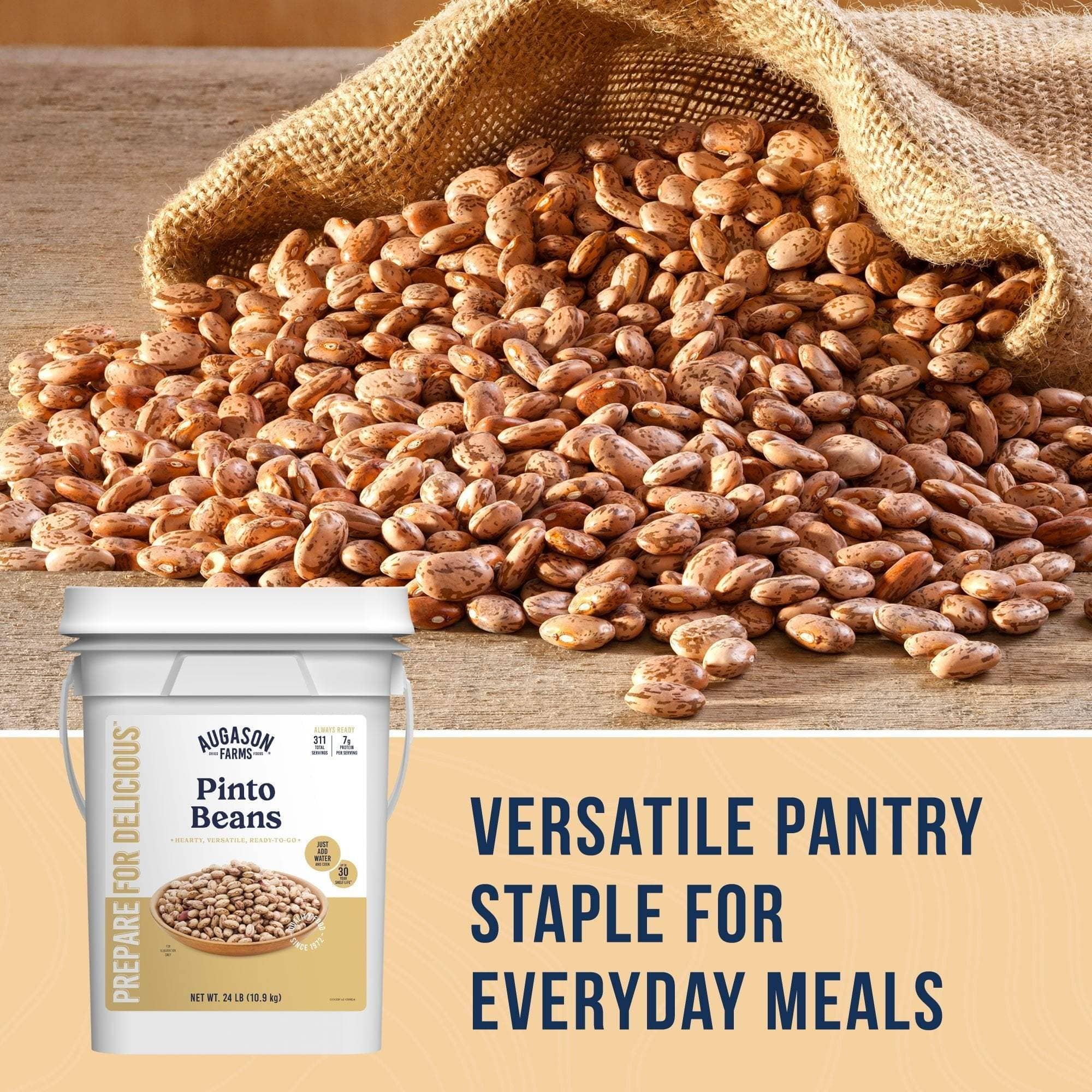 Augason Farms Dried Pinto Beans 4 Gallon Pail, 311 Servings Dried Pinto Beans 4 Gallon Pail - Bulk Nutrient-Rich Food Storage