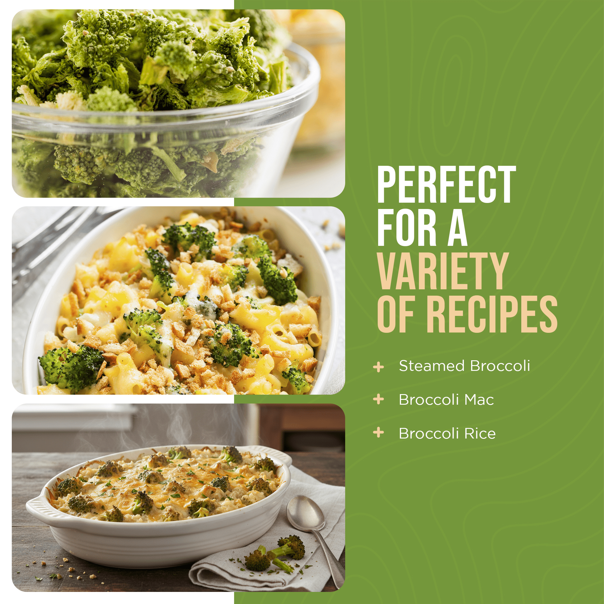 Augason Farms freeze dried broccoli florets and stems can with 34 servings for cooking and emergency food storage