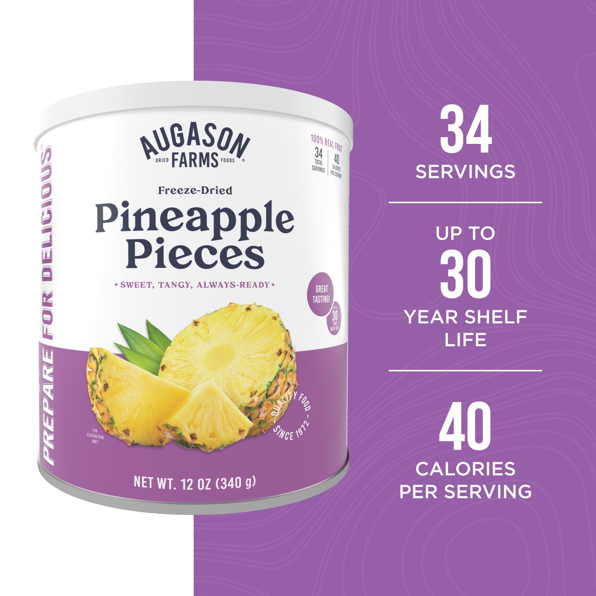 Augason Farms Freeze Dried Pineapple Pieces Can, 34 Servings Freeze Dried Pineapple Pieces Can - 34 Servings