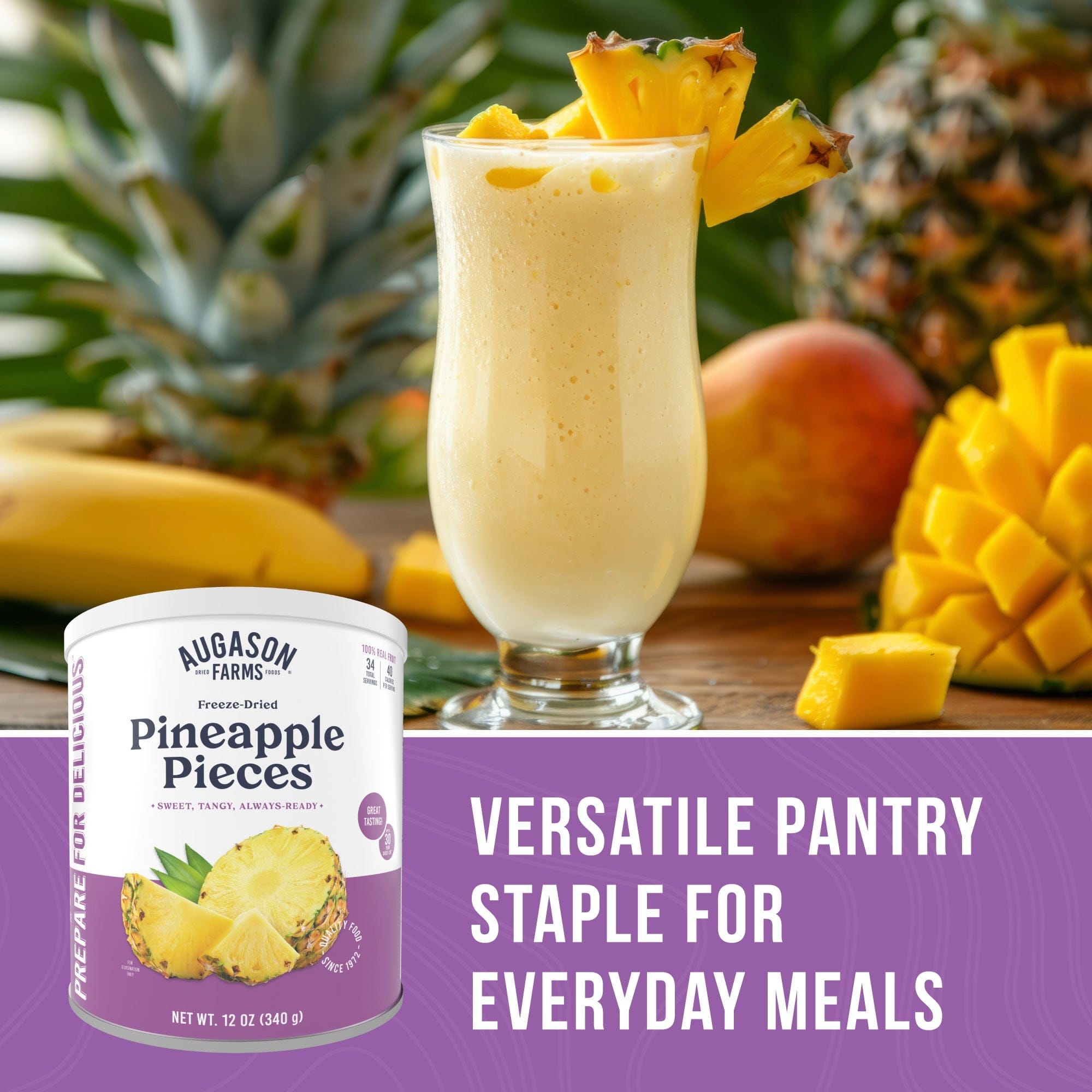 Augason Farms Freeze Dried Pineapple Pieces Can, 34 Servings Freeze Dried Pineapple Pieces Can - 34 Servings