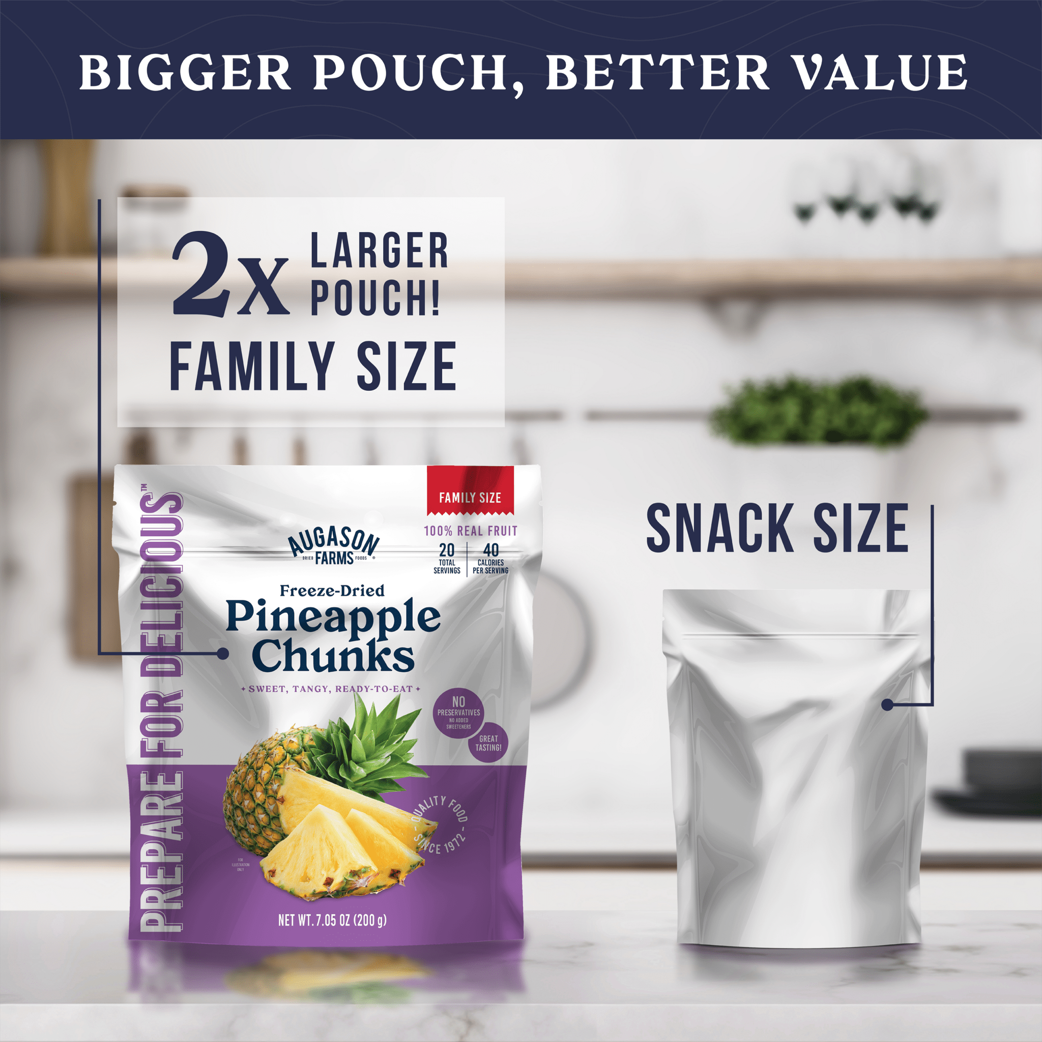 Freeze Dried Pineapple Chunks Family Size Pouch, 20 Servings