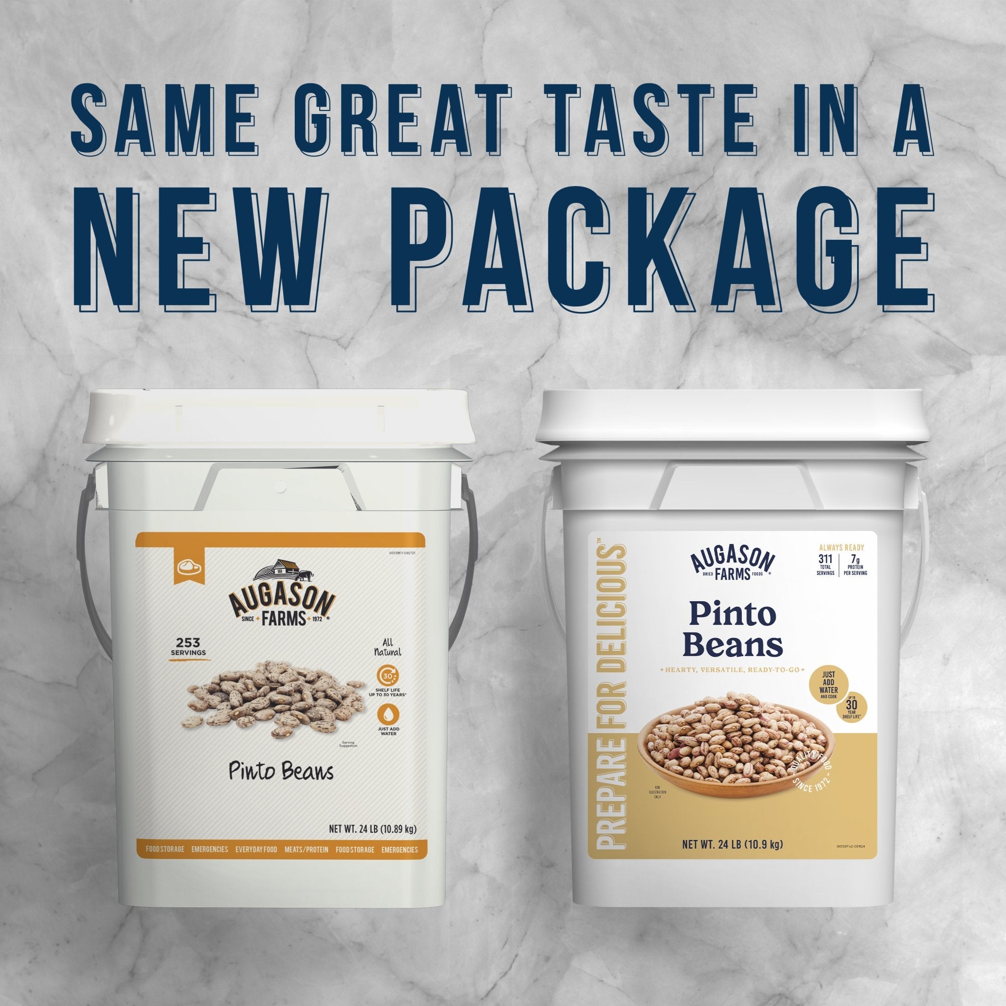 Dried Pinto Beans 4 Gallon Pail, 311 Servings