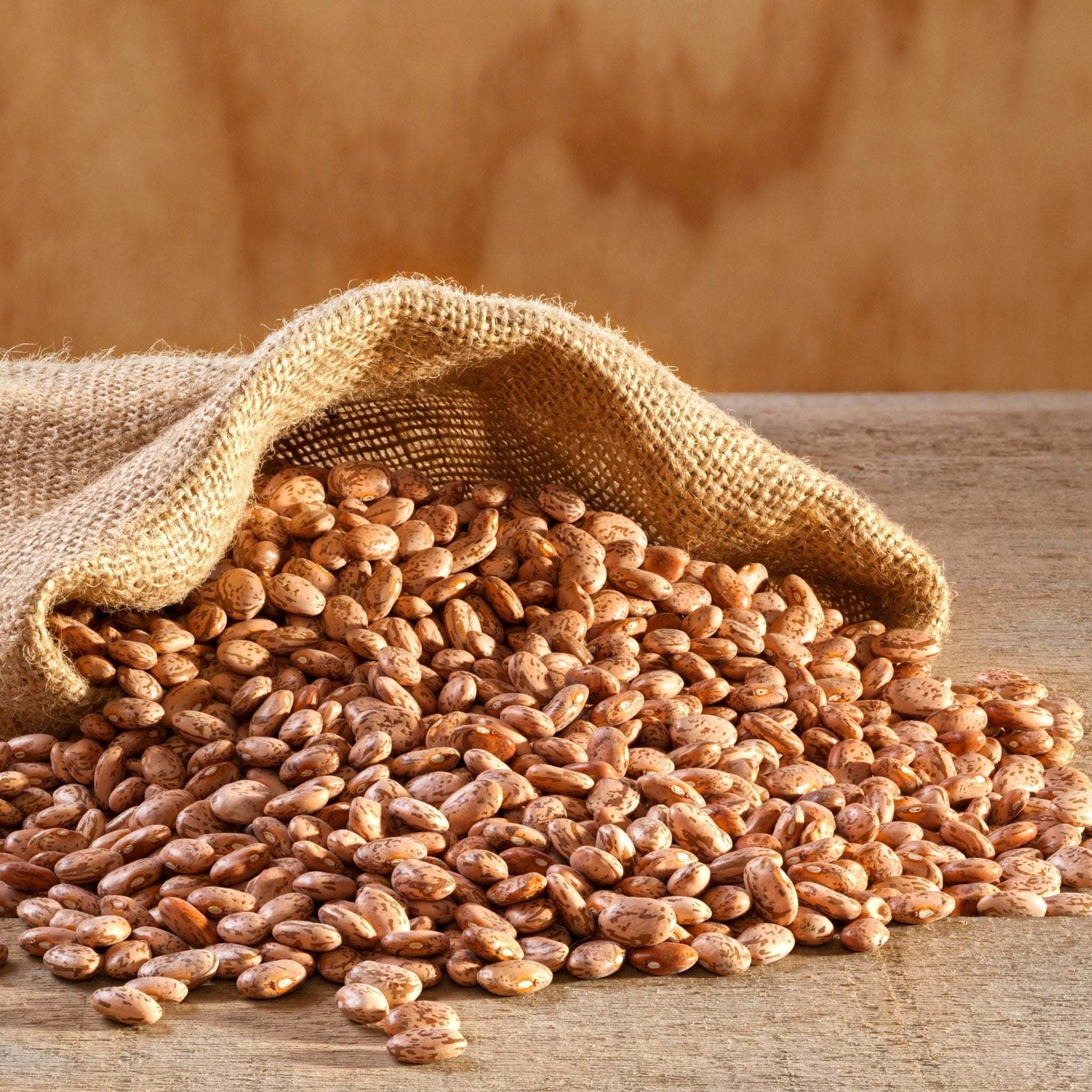 4 gallon pail of dried pinto beans with 311 servings, high protein and fiber
