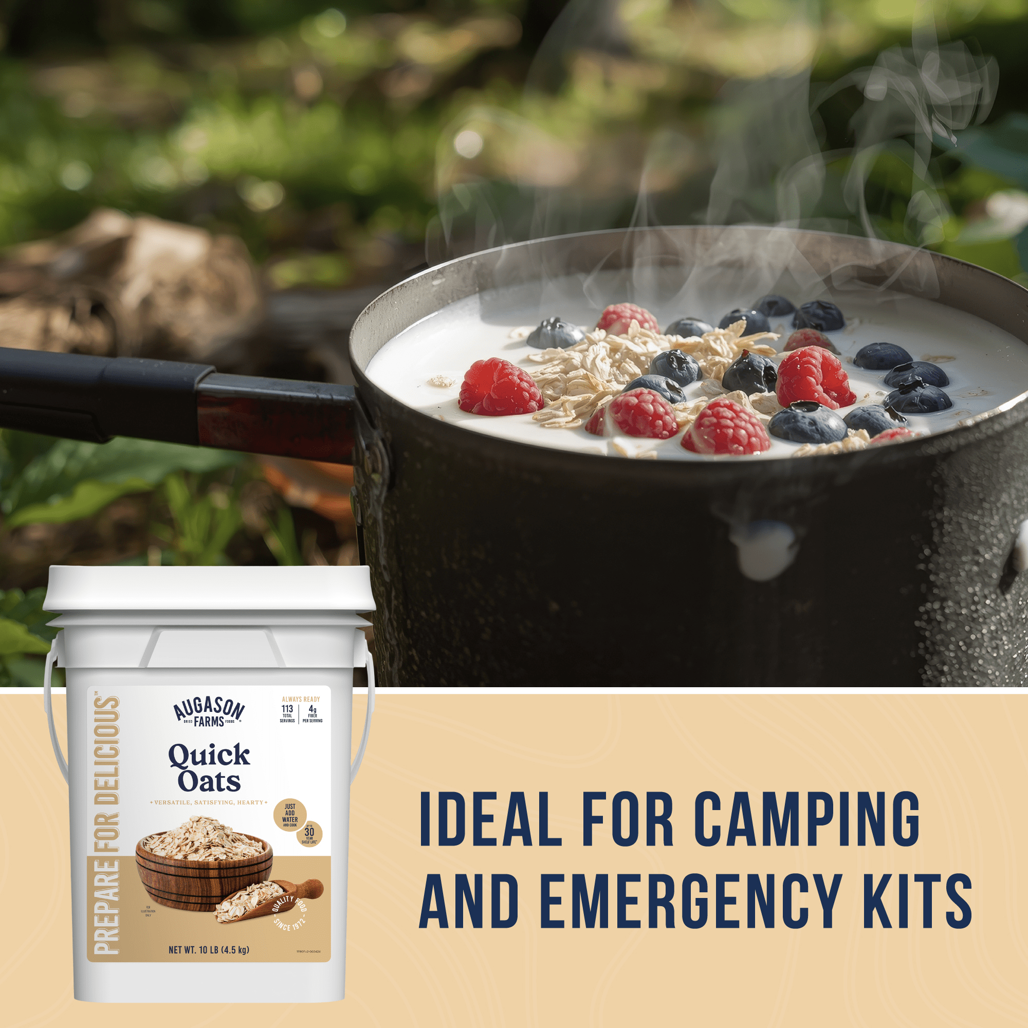 Augason Farms Quick Oats 4 Gallon Pail, 113 Servings Quick Oats 4-Gallon Pail - 113 Servings