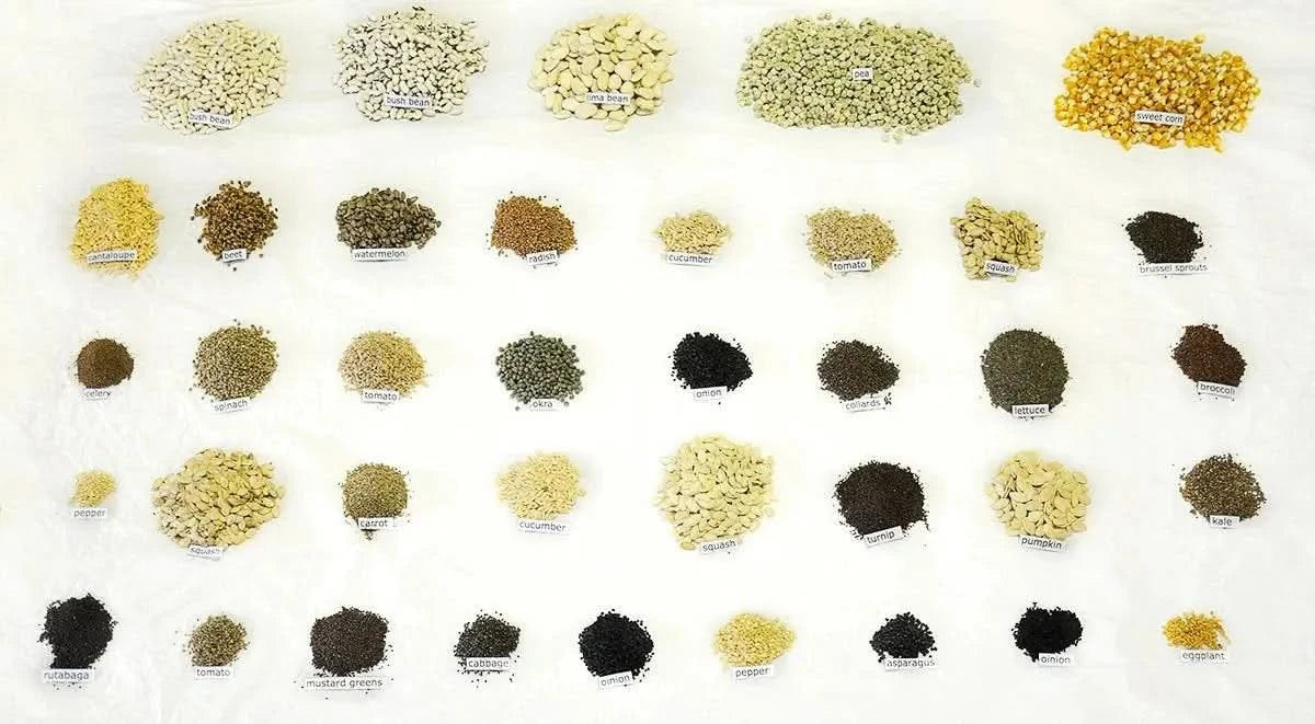 Heaven's Harvest Heirloom Max Seed Kit - 39 Varieties | Premium Survival Seeds Heirloom Max Seed Kit - 39 Varieties | Heaven's Harvest