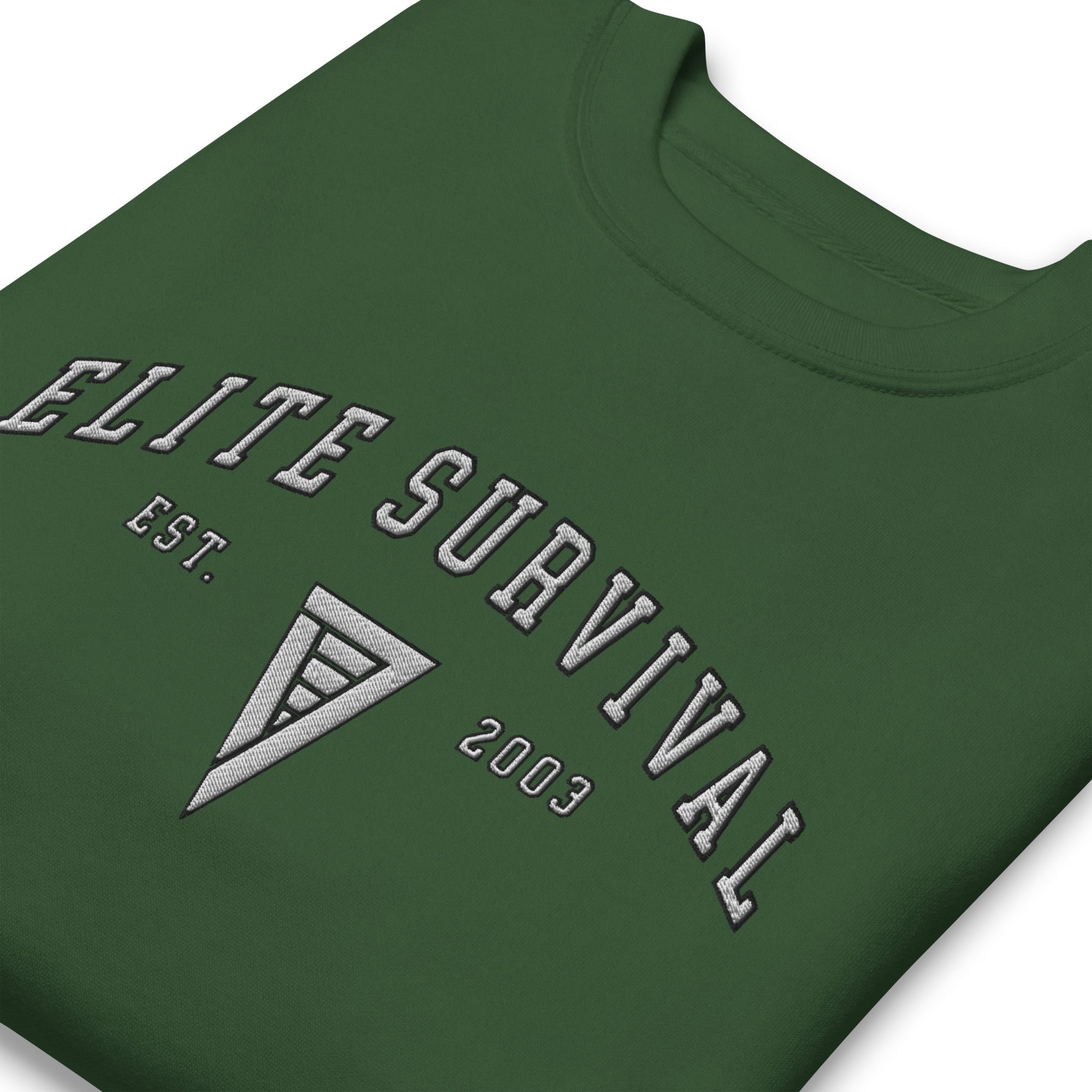 Unisex Embroidered Sweatshirt