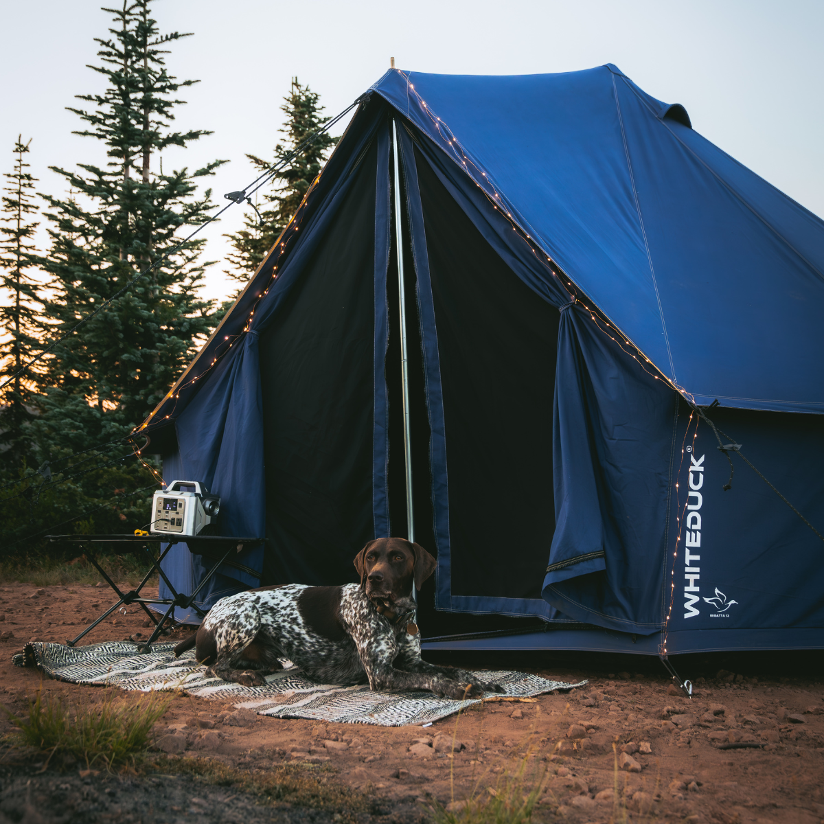 USED - 20' Regatta Bell Tent - Saphhire Blue