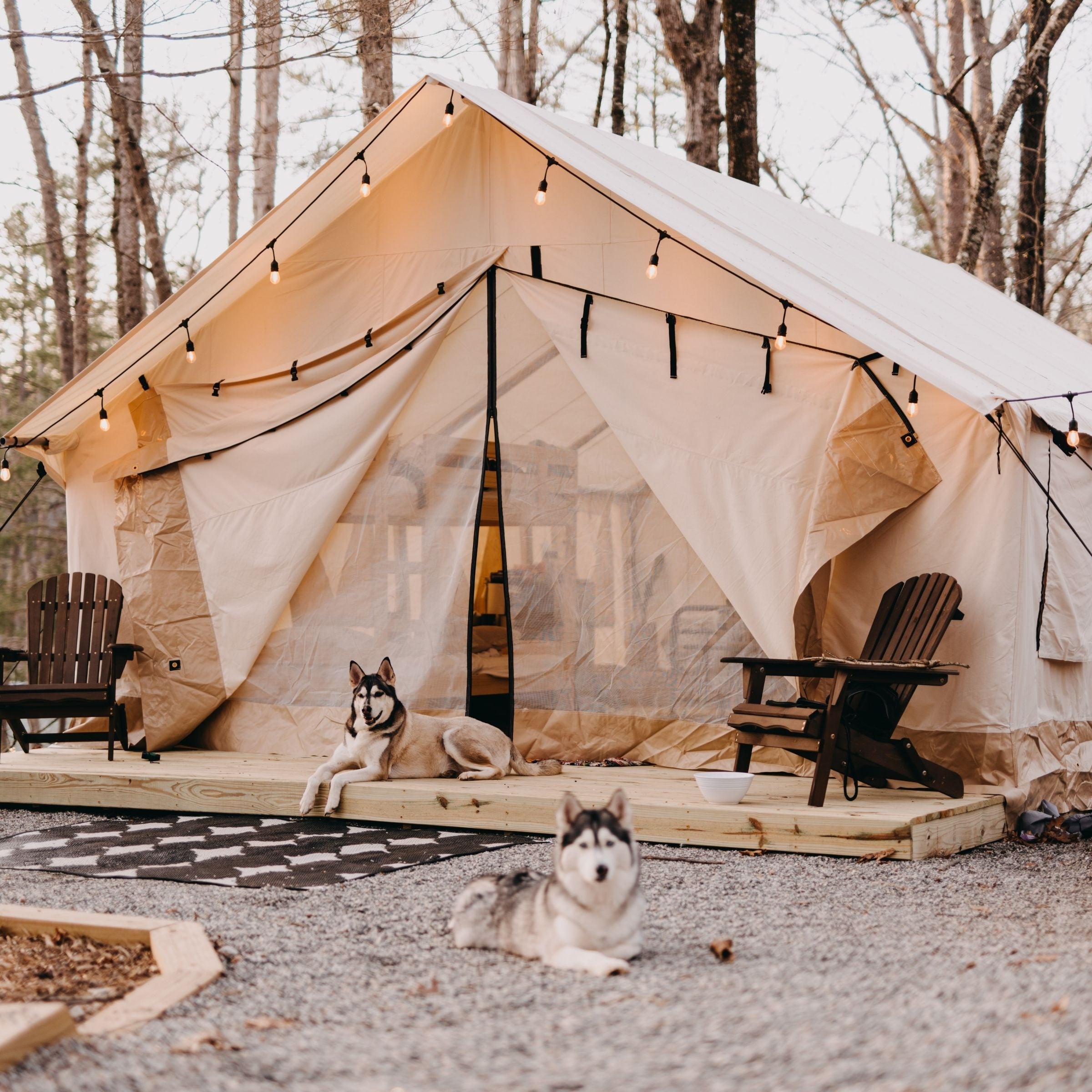 USED - Alpha Wall Tent