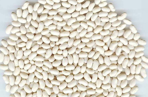 Small White Navy Beans 90 oz #10