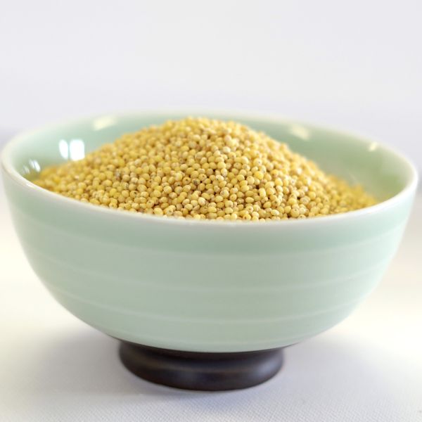 Millet–Hulled Natural 5 gal 36# SP