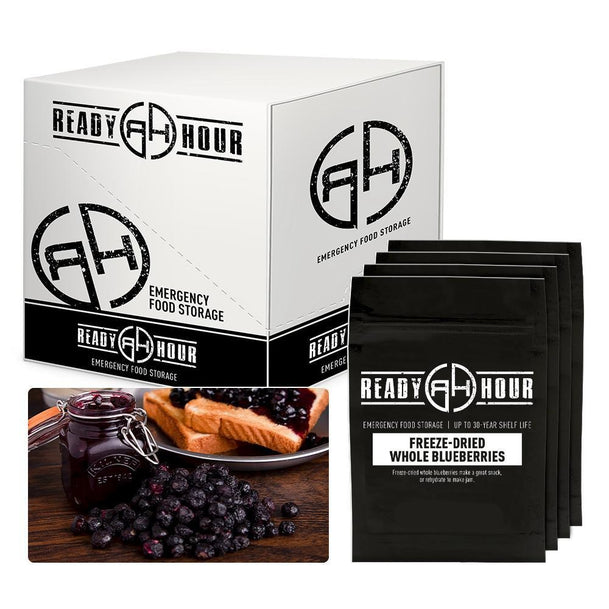 Ready Hour Freeze-Dried Blueberries Case Pack (32 servings, 4 pk)