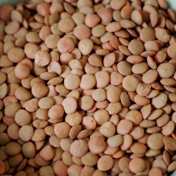 Lentils 50 lb. bag