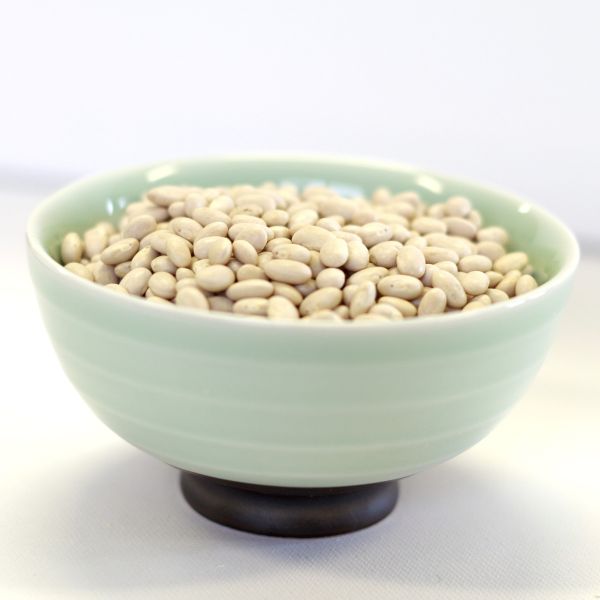 Small White Beans-Natural 5 gal 36# SP