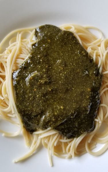 Instant Basil Pesto Sauce 12 oz #2.5 can