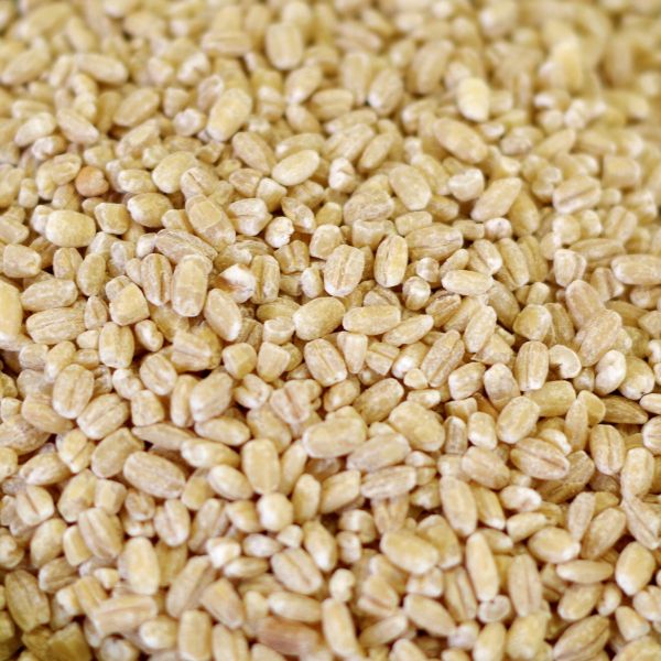 Pearl Barley 25 lb. bag