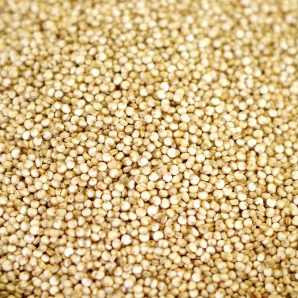 Natural Quinoa 25 lb. bag