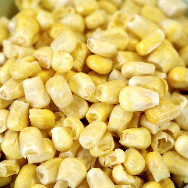 Freeze Dried Super Sweet Corn 6 #10 cans