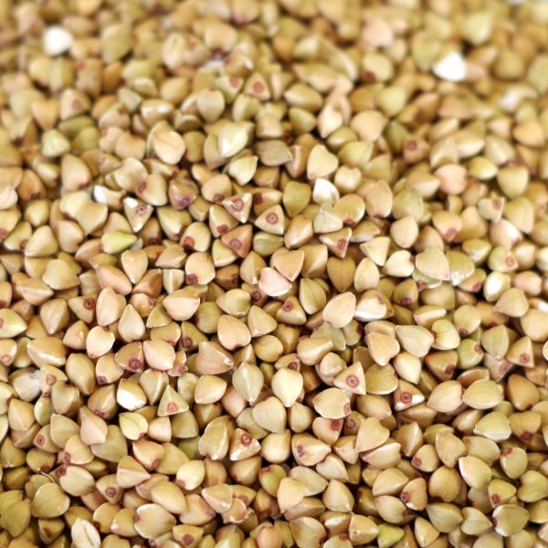 Buckwheat–Hulled Natural 5 gal 32# SP