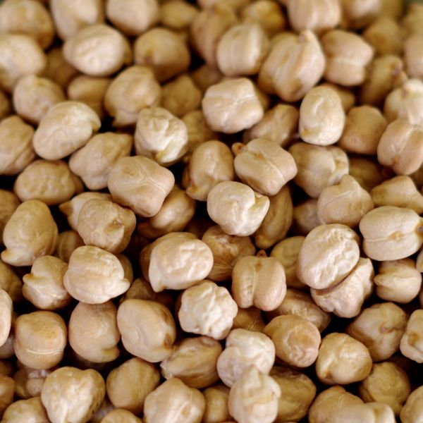 Garbanzo Beans 33 lb. 5 gal SP