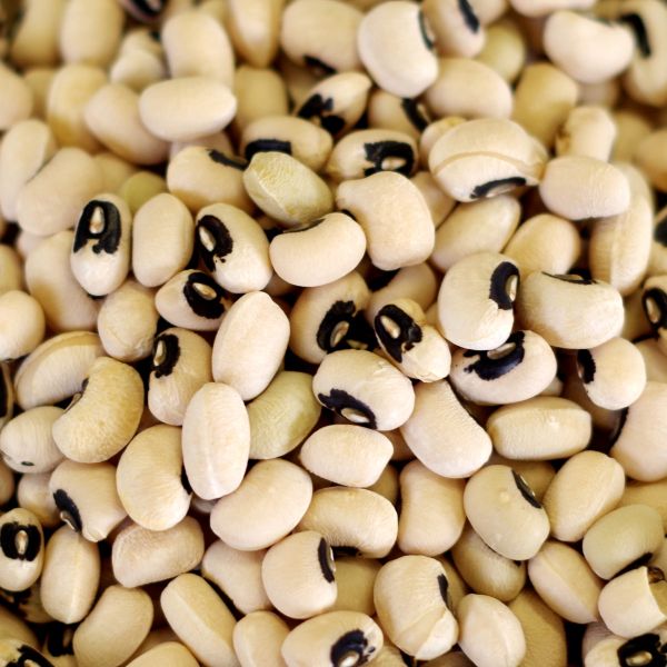 Blackeye Beans 31 lb. 5 gal SP