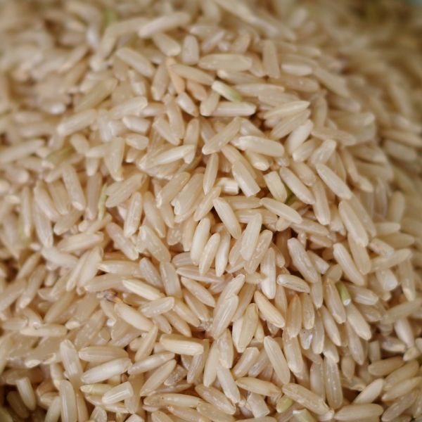 Brown Rice 25 lb. bag