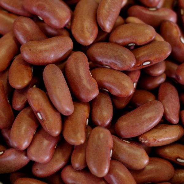 Kidney Beans 76 oz #10 can