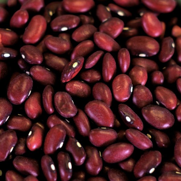 Small Red Beans 34 lb. 5 gal SP