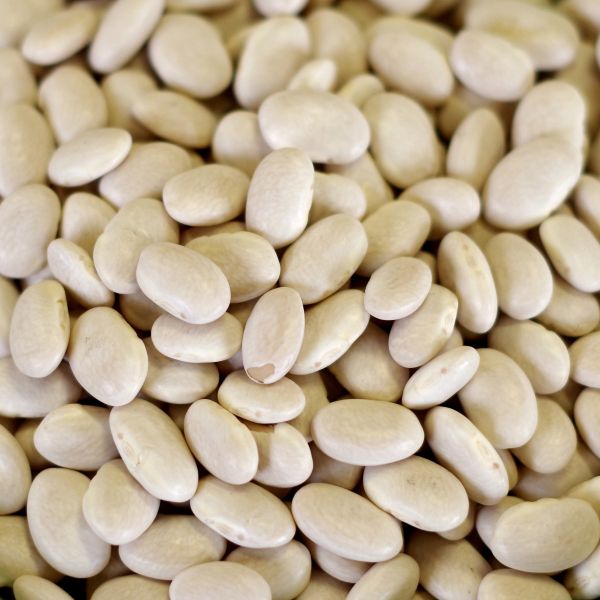 Great Northern Beans 50 lb. bag