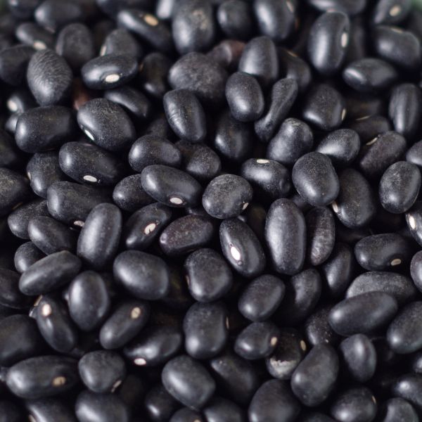 Black Turtle Beans 85 oz #10 can