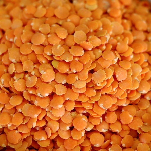 Red Lentils 25 lb. bag