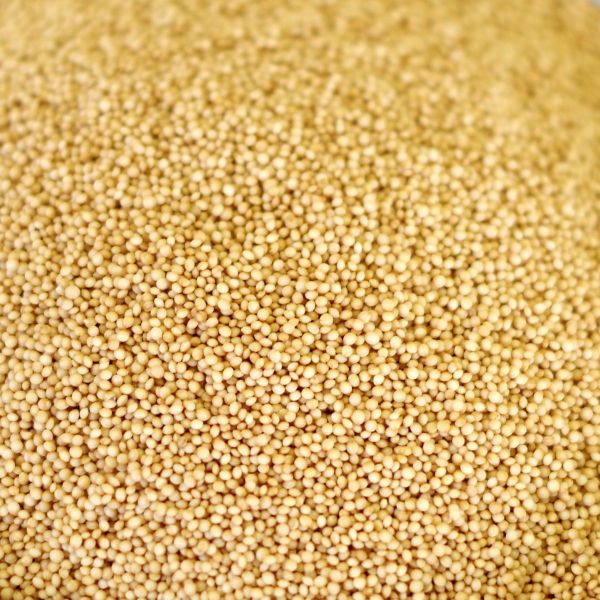 Amaranth-Natural 25# bag