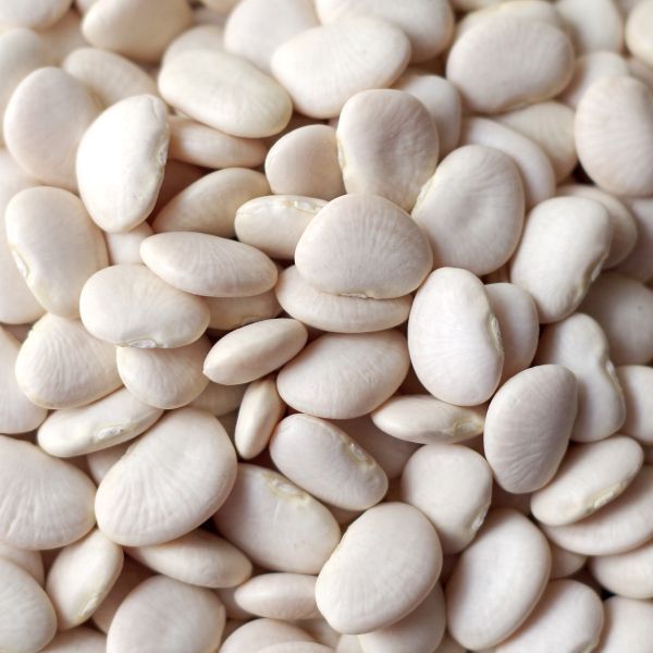 Baby Lima Beans 50 lb. bag