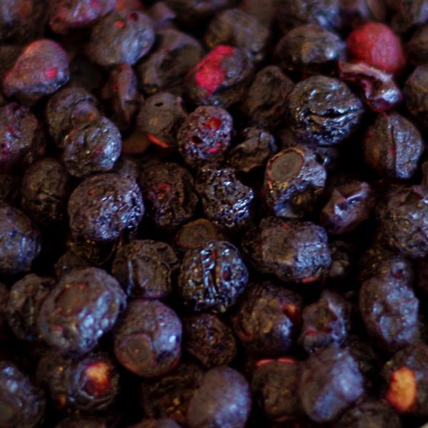 Freeze Dried Fruit Pak