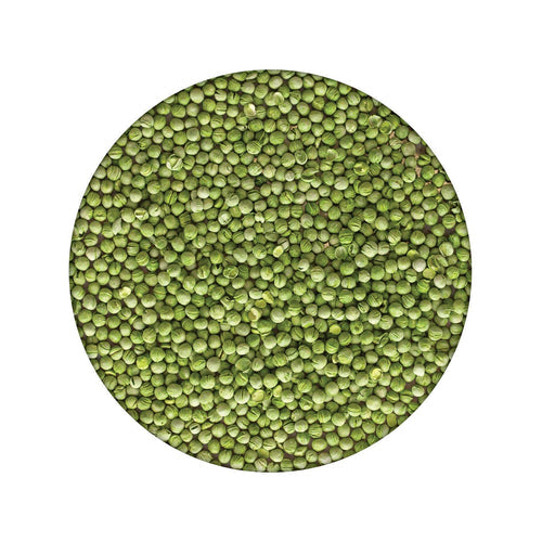 Pack of 6 Peas Large Can (Green)