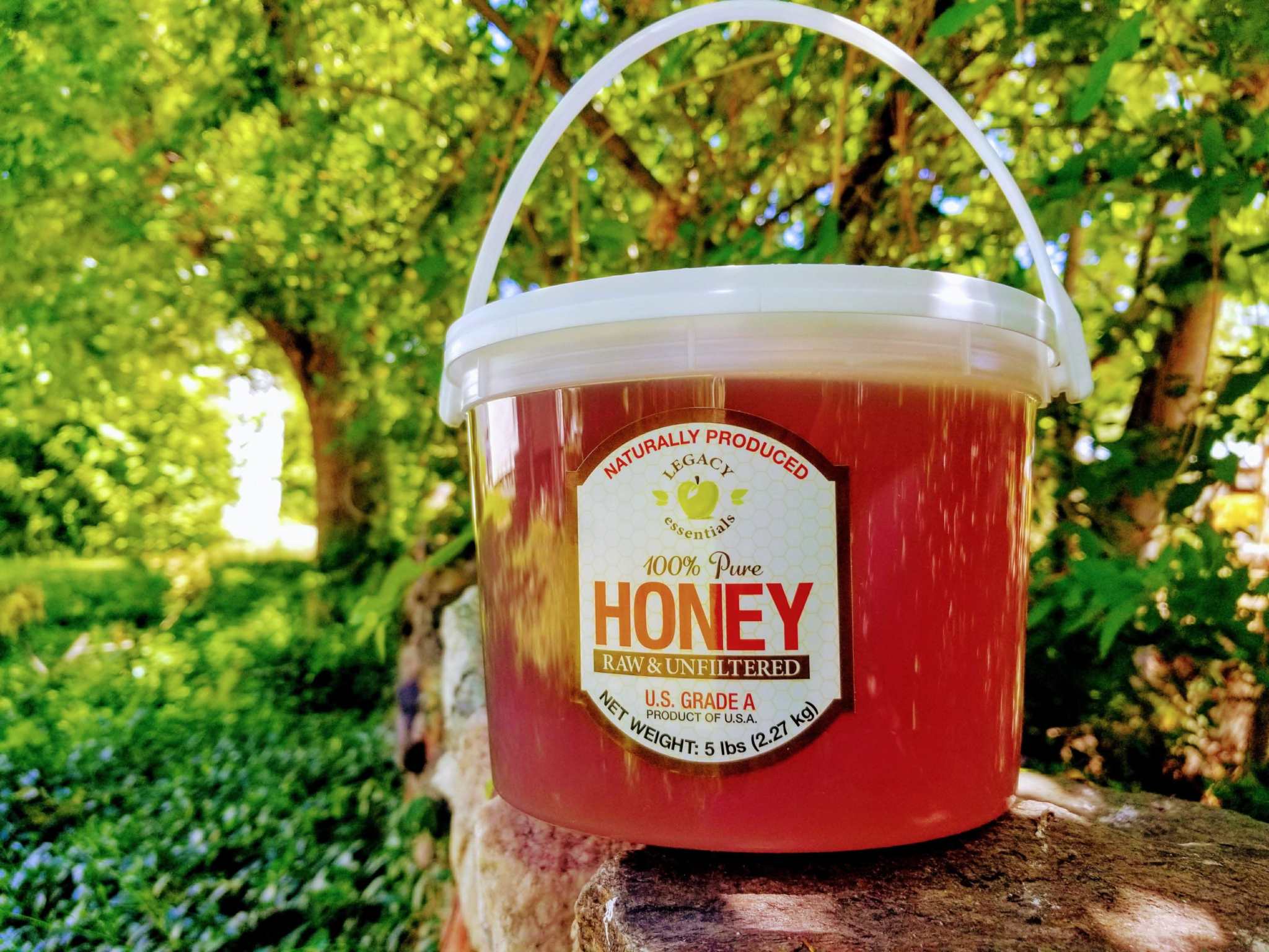 Legacy Food Storage Bulk Single Items 100% Pure Honey - Raw and Unfiltered 100% Pure Honey - Raw and Unfiltered | Legacy Food Storage